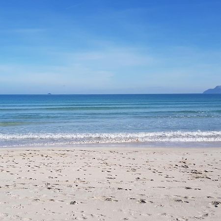 Ideal Property Mallorca - Didi Алькудия Экстерьер фото