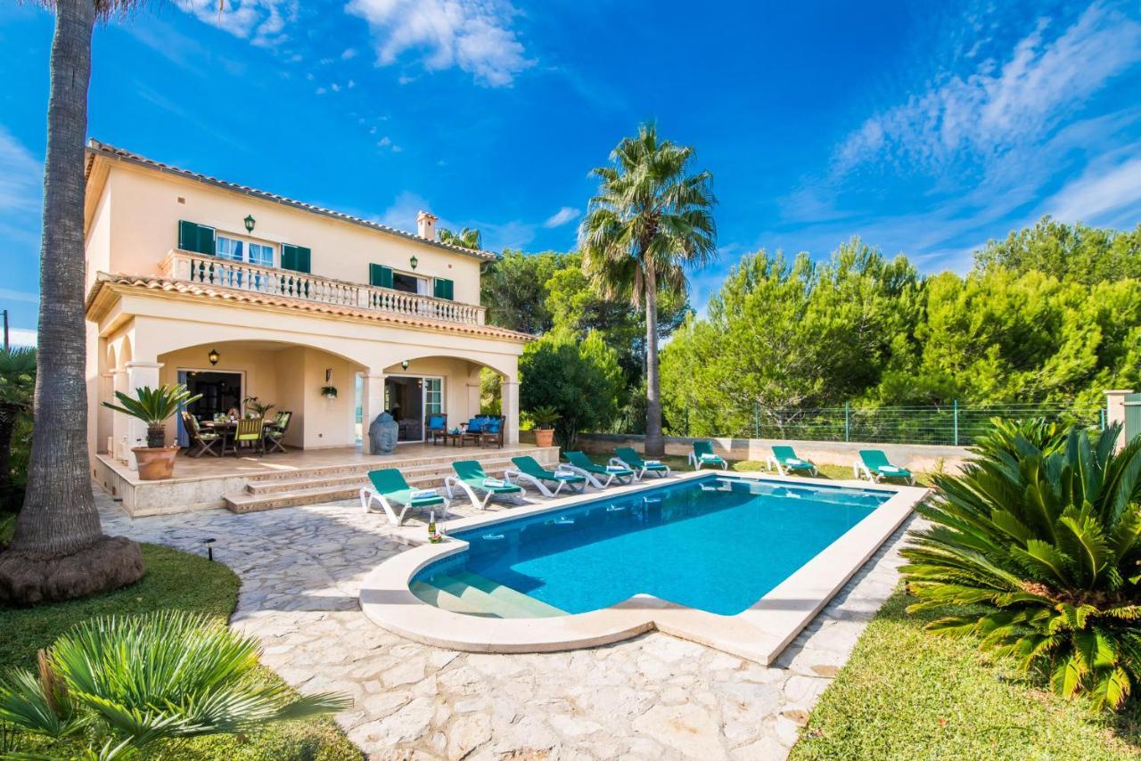Ideal Property Mallorca - Didi Алькудия Экстерьер фото
