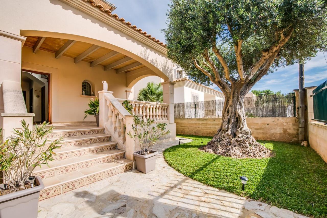 Ideal Property Mallorca - Didi Алькудия Экстерьер фото
